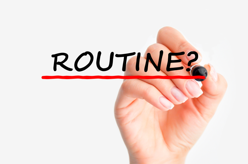 A list of things that productive entrepreneurs do every day