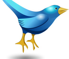 A look at Twitters’ New Periscope App